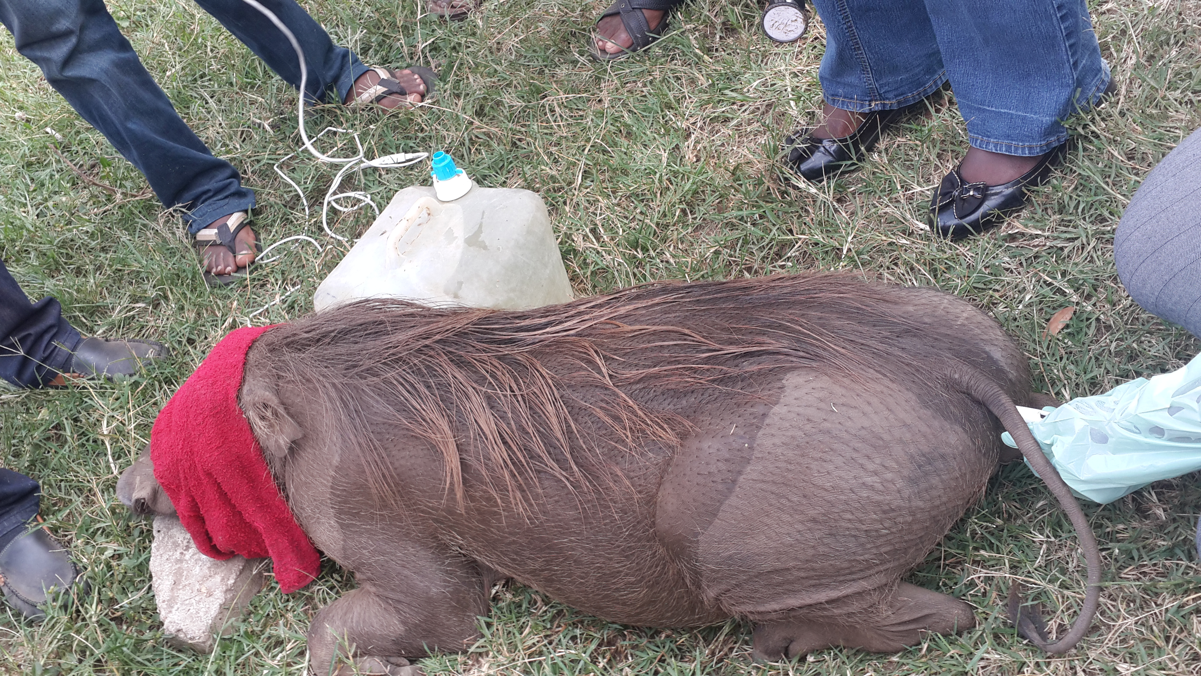 Science driven field work image 1